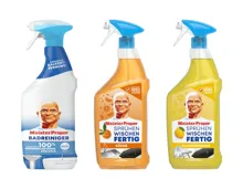 Meister Proper Reinigungsspray