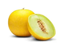 Melone Galia 1 Stück