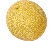 Melone Galia