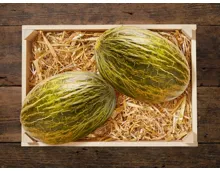 Melone Piel de Sapo