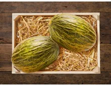 Melone Piel de Sapo