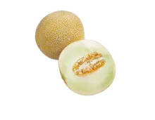 Melonen Galia