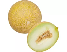Melonen Galia