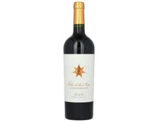 Mendoza Argentina Clos de los Siete Michel Rolland (2021) – Rotwein, Argentinien (0.75l)