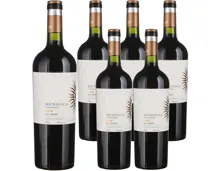 Mendoza Vineyards Malbec Selección 6x 75cl (2022) – Rotwein, Argentinien (0.75l)