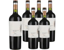 Mendoza Vineyards Malbec Selección 6x 75cl (2024) – Rotwein, Argentinien (0.75l)