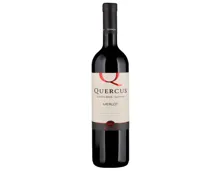 Merlot Quercus Goriska Klet Brda (2022) – Rotwein, Slowenien (0.75l)