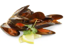 Miesmuscheln Royal