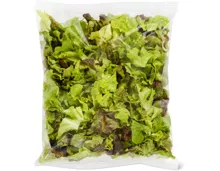 Migros Bio Eichblattsalat