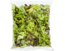 Migros Bio Eichblattsalat