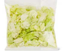 Migros Bio Eisbergsalat