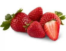 Migros Bio Erdbeeren