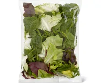 Migros Bio Frühlingssalat