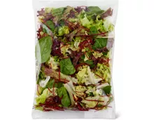 Migros Bio Herbstsalat