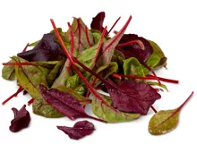 Migros Bio-Jungblattsalat rot und -Blumenmixsalat