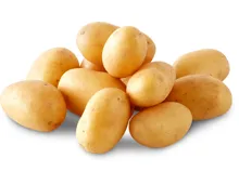 Migros Bio Kartoffeln Patatli
