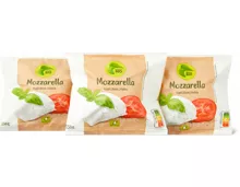 Migros Bio Mozzarella Kugeln