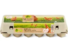 Migros Bio Schweizer Eier aus Freilandhaltung