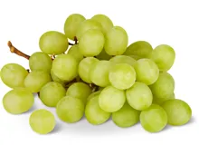 Migros Bio Trauben weiss, kernlos