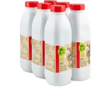 Migros Bio-Vollmilch UHT oder -Milch Drink UHT