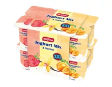 MILFINA Fruchtjoghurt XXL