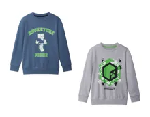 Minecraft Sweatshirt