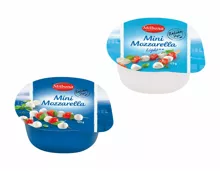 Mini Mozzarella Kugeln (Aktion nur im Tessin gültig)