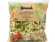 Mmmh Gärtnersalat