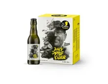 Möhl Juicy Apple Cider 6x33cl