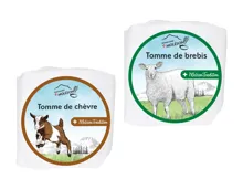 Moléson Tomme (Aktion nur in der Westschweiz gültig)
