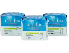 Molfina Ultra-Binden, FSC®