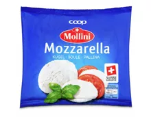 Mollini Mozzarella