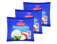 Mollini Mozzarella 3x 150g