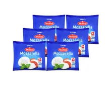 Mollini Mozzarella 6x 150g
