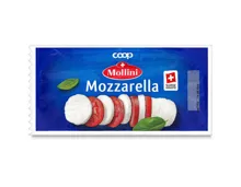 Mollini Mozzarella Stange