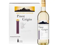 Monte del Castello Pinot Grigio