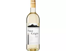 Monte del Castello Pinot Grigio Vino da Tavola