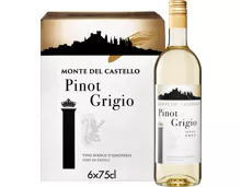 Monte del Castello Pinot Grigio Vino da Tavola