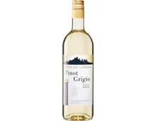 Monte del Castello Pinot Grigio Vino da Tavola