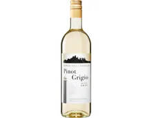 Monte del Castello Pinot Grigio Vino da Tavola