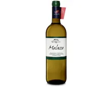 Montecucco DOC Vermentino Melacce