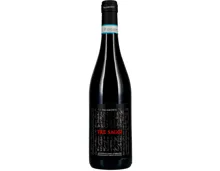 Montepulciano d'Abruzzo DOC Tre Saggi Tenuta Talamonti (2020) – Rotwein, Italien (0.75l)
