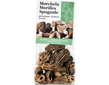 Morcheln