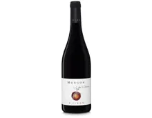 Morgon AOP La Chanaise Maison Piron (2024) – Rotwein, Frankreich (0.75l)