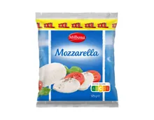 Mozzarella XXL