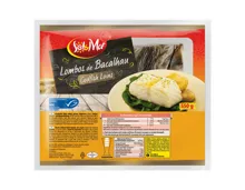 MSC Stockfisch Filet