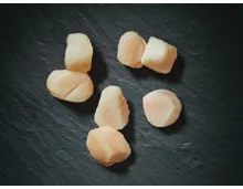 MSC Tiefseescallop​