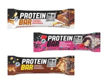 Multilayer Protein-Riegel
