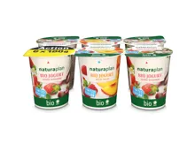 Natura Plan Bio Jogurt Erdbeere Rhabarber Pfirsich Melba 6x180g