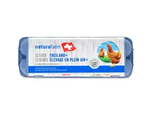 Naturafarm Eier aus Freilandhaltung 53g+ 12 Stück